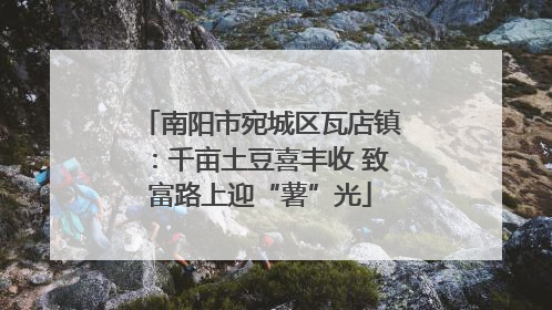 南阳市宛城区瓦店镇：千亩土豆喜丰收 致富路上迎“薯”光